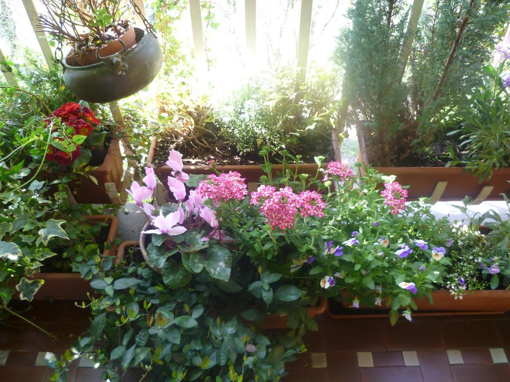 La Terrazza Sul Po Bed & Breakfast Turin Exterior photo